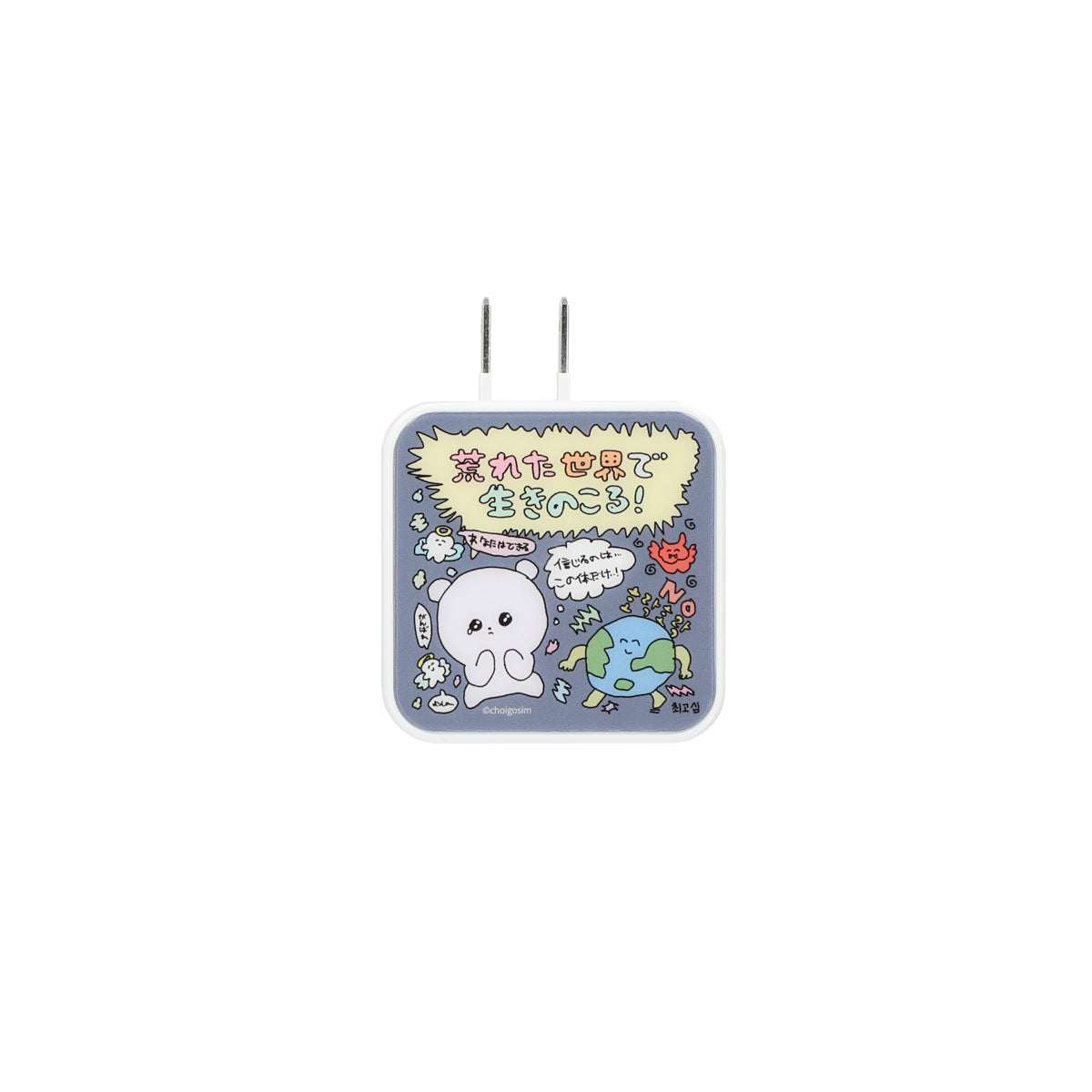 チェゴシム USB/USB Type-C ACアダプタ