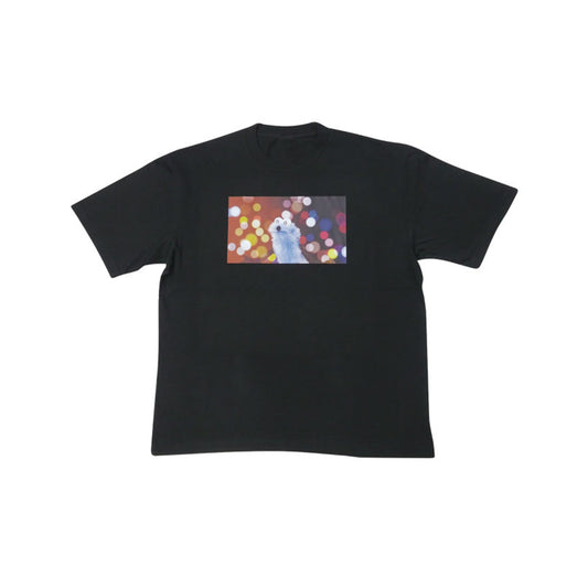 BIGTシャツ ライト