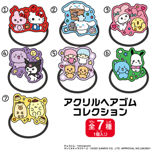 チェゴシム×サンリオキャラクターズコラボ　アクリルヘアゴムコレクション（ランダム7種）