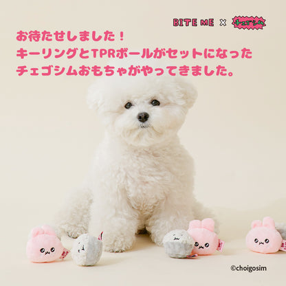 BITE ME×チェゴシム「ごはんちゃんと食べてね！」うさゴシム＆ごはんゴシムおもちゃセット