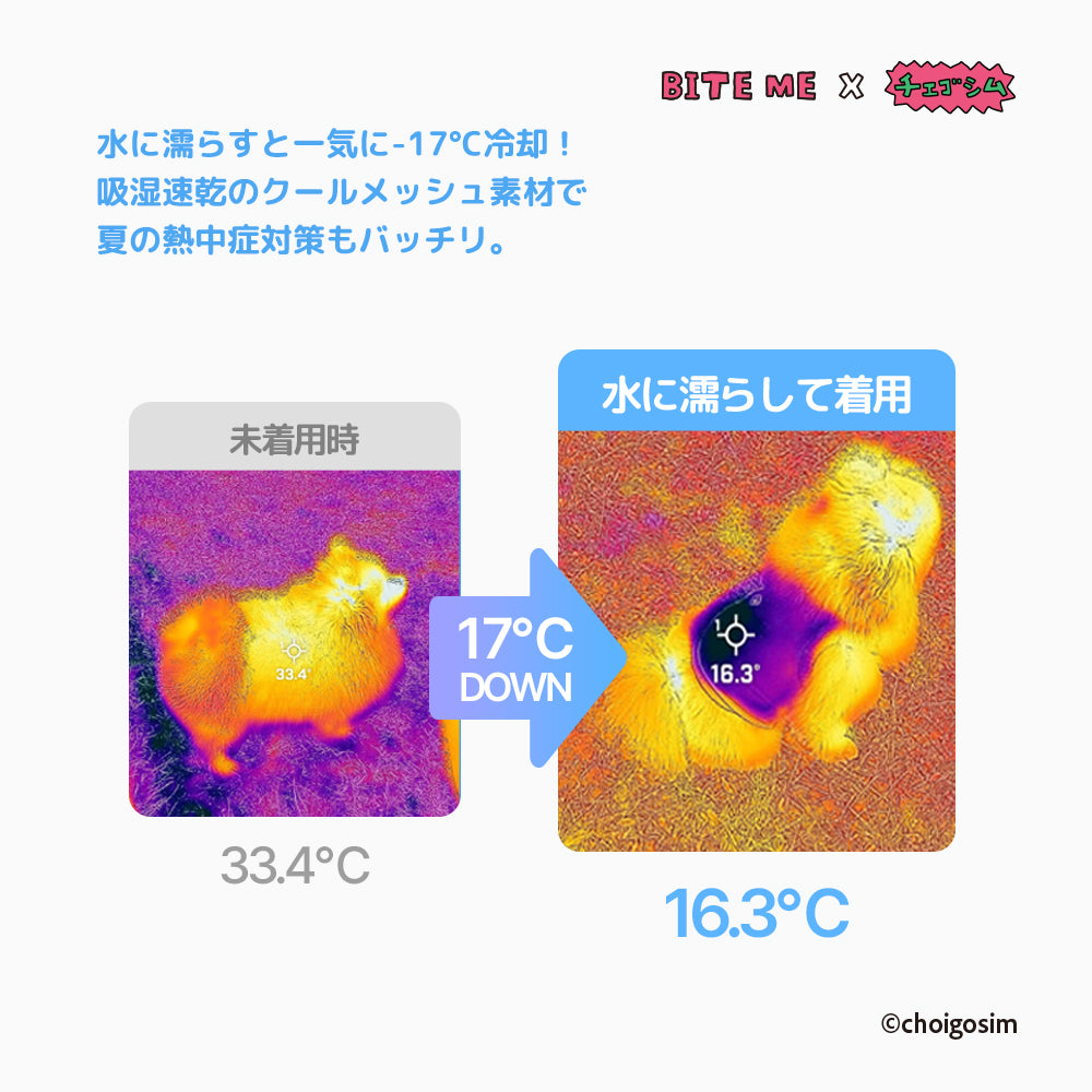 BITE ME×チェゴシム　メッセージクールスリーブレス
