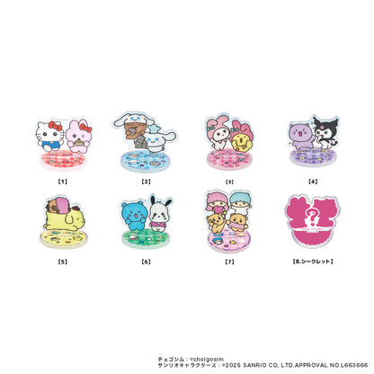 チェゴシム×サンリオキャラクターズ　トレーディングオーロラアクリルスタンド単品(全8種)