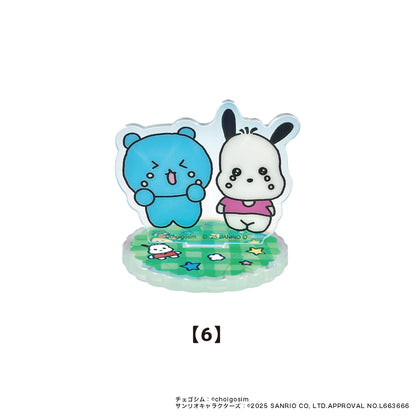 チェゴシム×サンリオキャラクターズ　トレーディングオーロラアクリルスタンド単品(全8種)