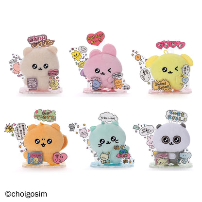 アクぬいcollection チェゴシム 1BOX（全6種入り）【26年3月より順次発送予定】