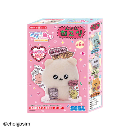 アクぬいcollection チェゴシム 1BOX（全6種入り）【26年3月より順次発送予定】