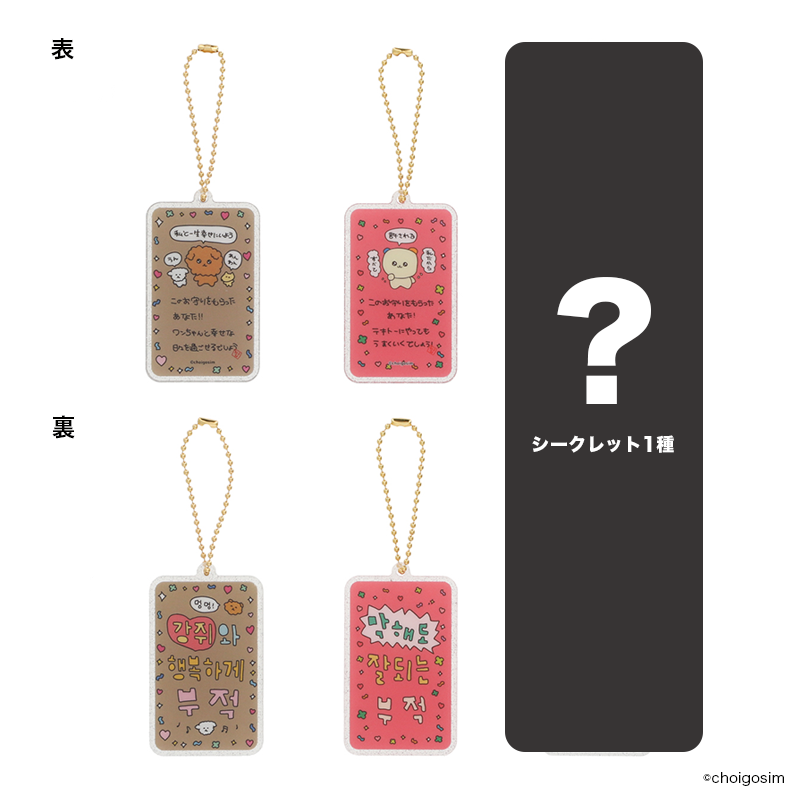 チェゴシム トレーディングおまもりカードキーチェーン（全８種）