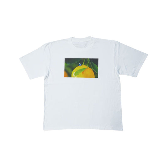 BIGTシャツ ユズ
